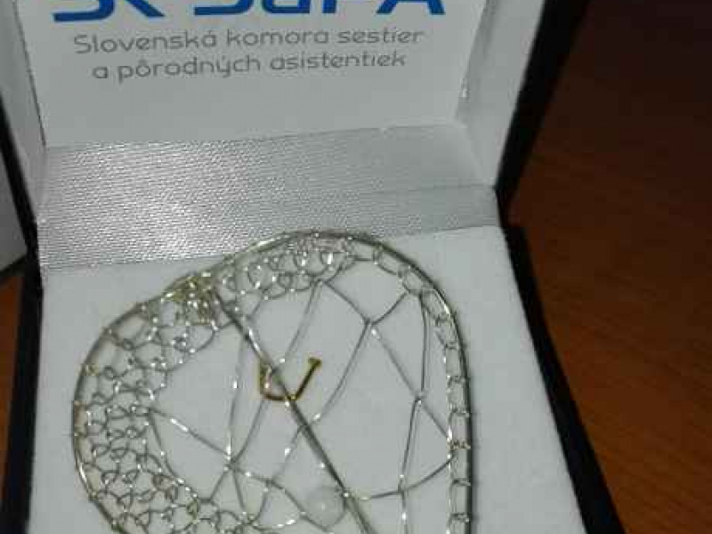  Aktuality / Medzinárodný deň sestier - foto