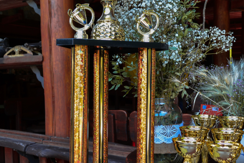  Aktuality / Športové hry zamestnancov SÚSCCH, a. s. 2023 - foto