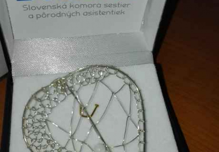 Medzinárodný deň sestier